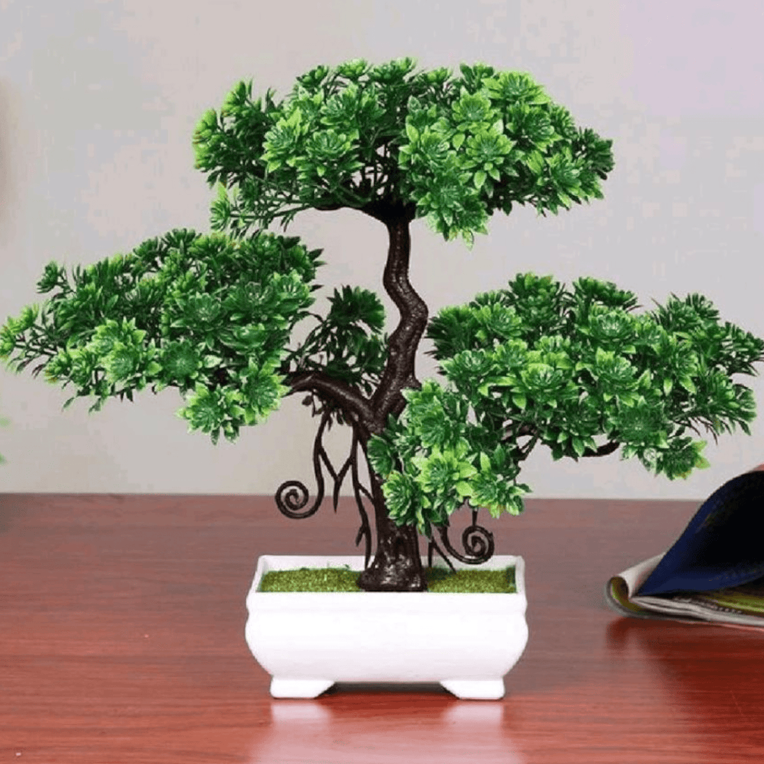 Dekoracija Bonsai 23 cm - Zoro