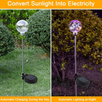 Set LED Solarne Kugle - Zoro